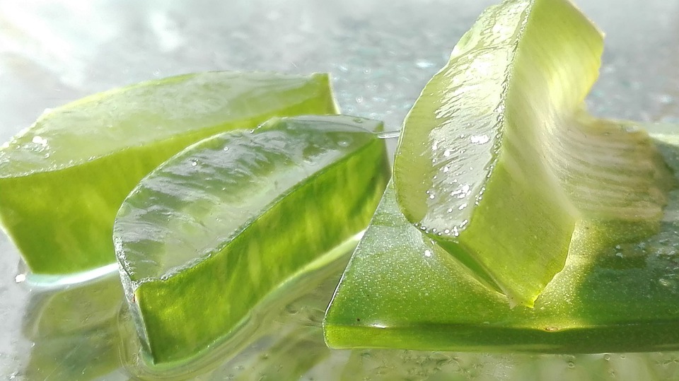 Profits Of Aloe Vera For Hair, Skin, And Weight-Loss